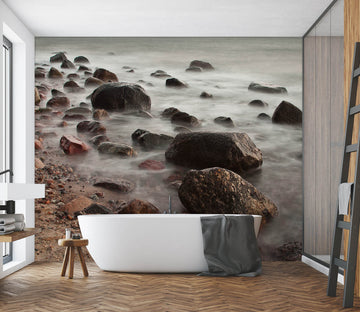 3D Seaside Stone 2008 Wall Mural Wall Murals