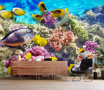 3D Coral Fish 2021 Wall Mural Wall Murals