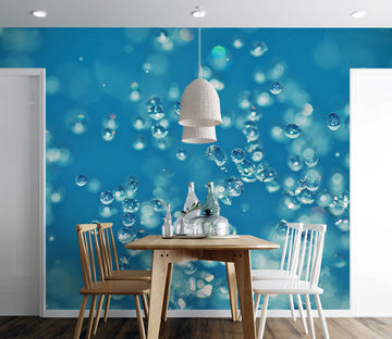 3D Water Droplets 2006 Wall Mural Wall Murals