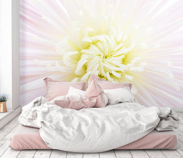 3D Chrysanthemum 2018 Wall Mural Wall Murals