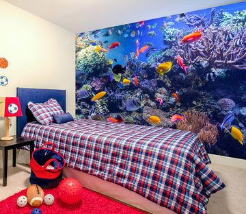 3D Color Fish 2072 Wall Mural Wall Murals