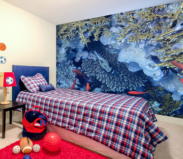 3D Coral Fish 2055 Wall Mural Wall Murals