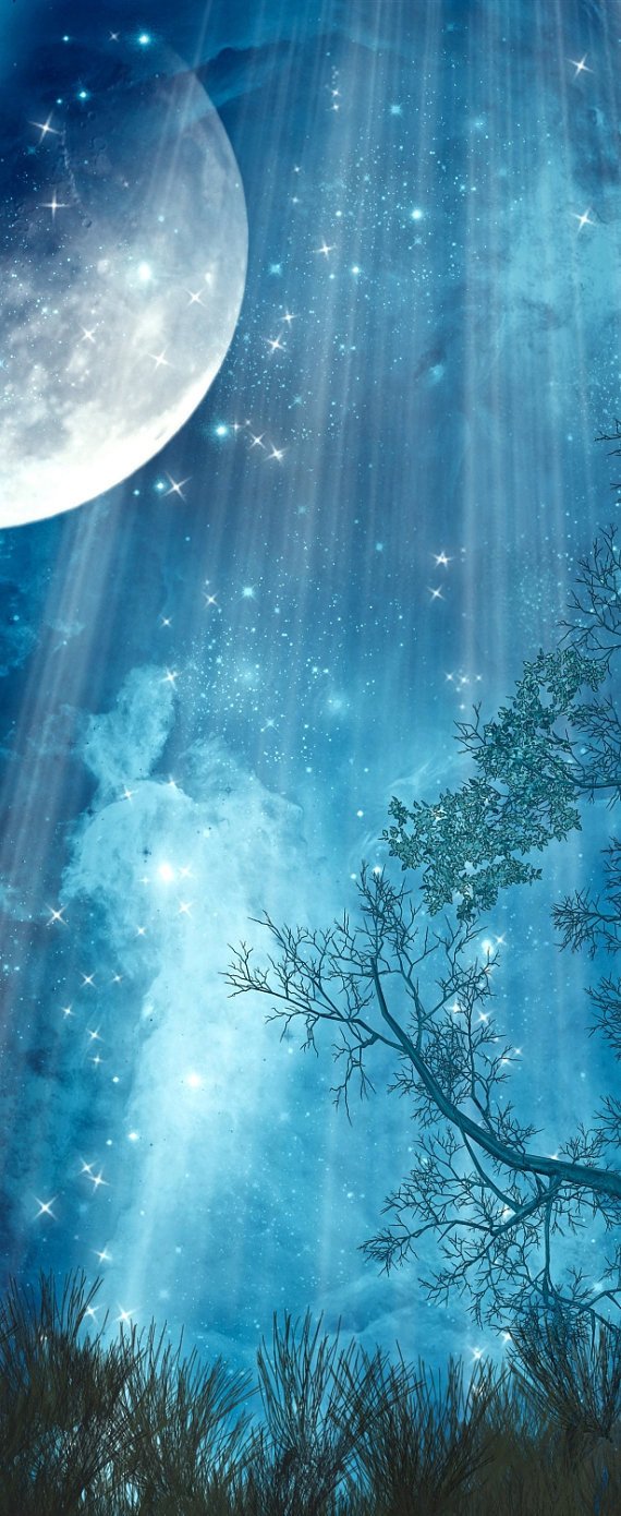 3D blue starry night door mural Wallpaper AJ Wallpaper 