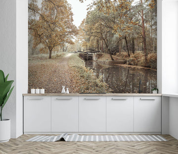 3D Leaf River Bridge 061 Assaf Frank Wall Mural Wall Murals