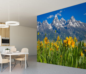 3D Flower Peak 119 Kathy Barefield Wall Mural Wall Murals