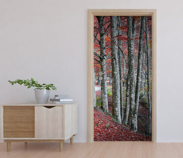 3D Trees Woods 11997 Marco Carmassi Door Mural