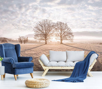 3D Sunset Lawn 067 Assaf Frank Wall Mural Wall Murals