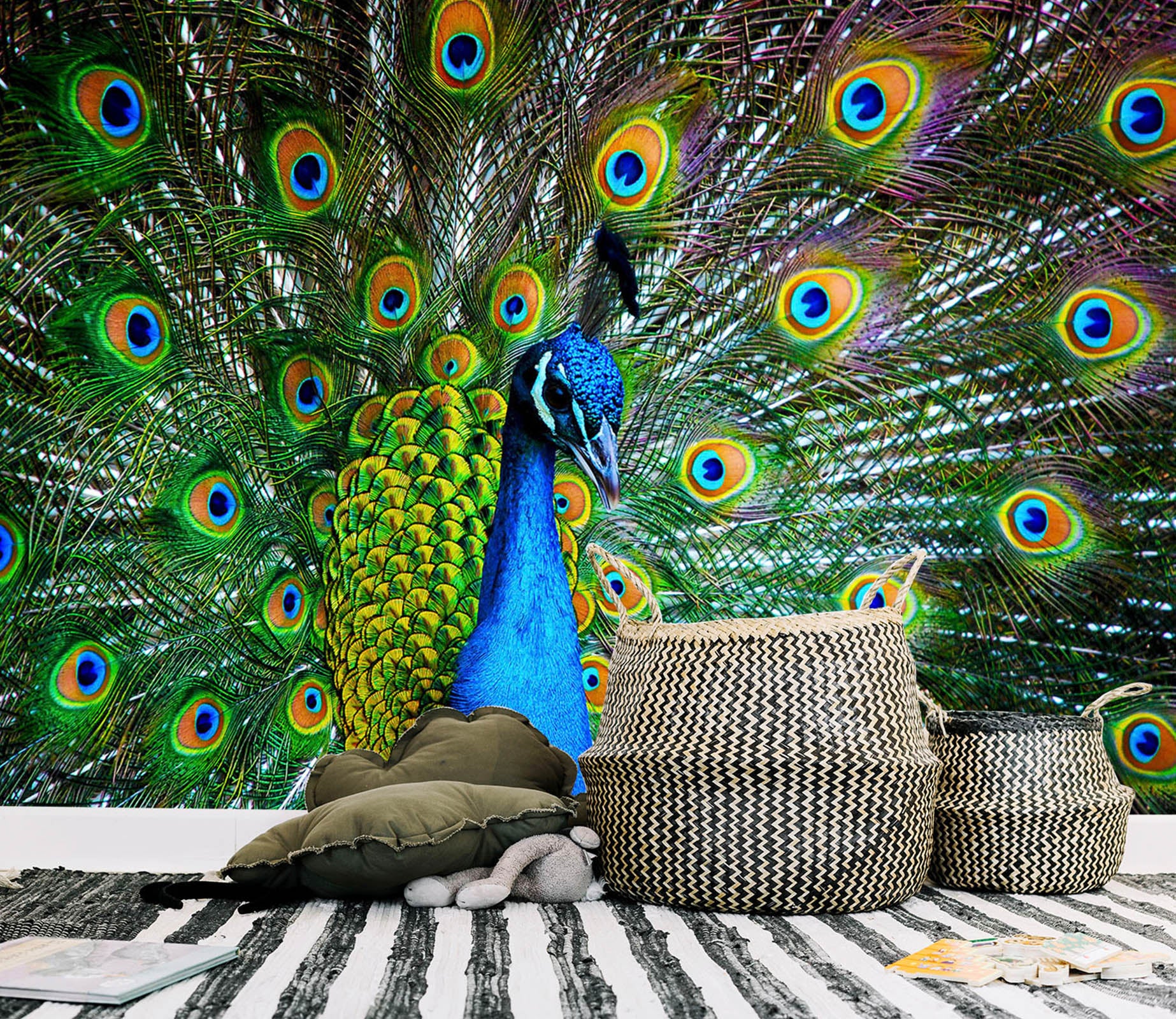 3D Peacock Opening 110 Wall Murals