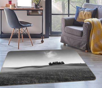 3D Grey Desert 1094 Marco Carmassi Rug Non Slip Rug Mat