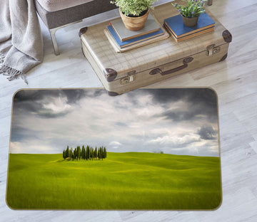 3D Green Grassland 1093 Marco Carmassi Rug Non Slip Rug Mat