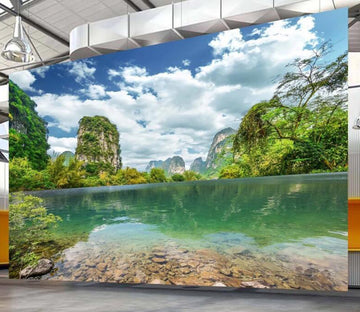 3D Mountain Lake WC2091 Wall Murals