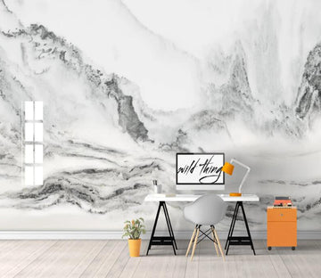 3D Marble Painting WC2575 Wall Murals