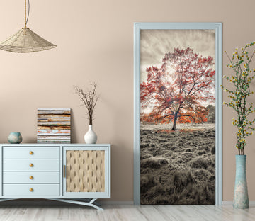 3D Grass Trees 101230 Assaf Frank Door Mural