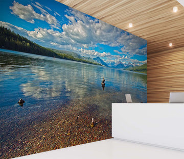 3D Clear Lake 121 Kathy Barefield Wall Mural Wall Murals