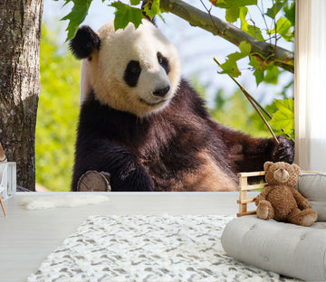 3D Giant Panda 248 Wall Murals