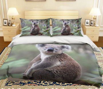 3D Koala 1968 Bed Pillowcases Quilt Quiet Covers AJ Creativity Home 