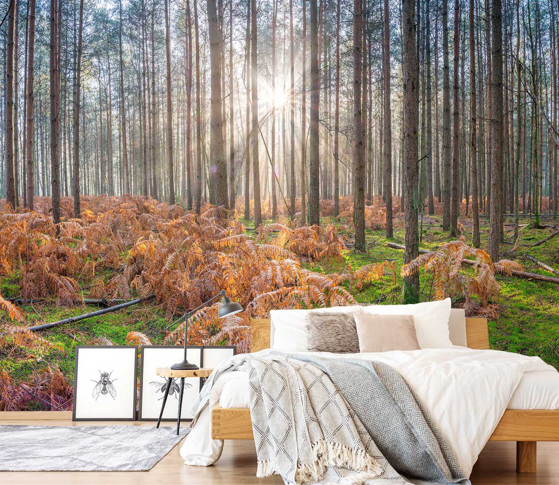 3D Sunny Trees 6153 Assaf Frank Wall Mural Wall Murals