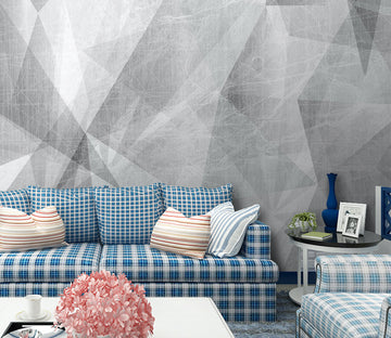 3D Gray Triangle WG098 Wall Murals