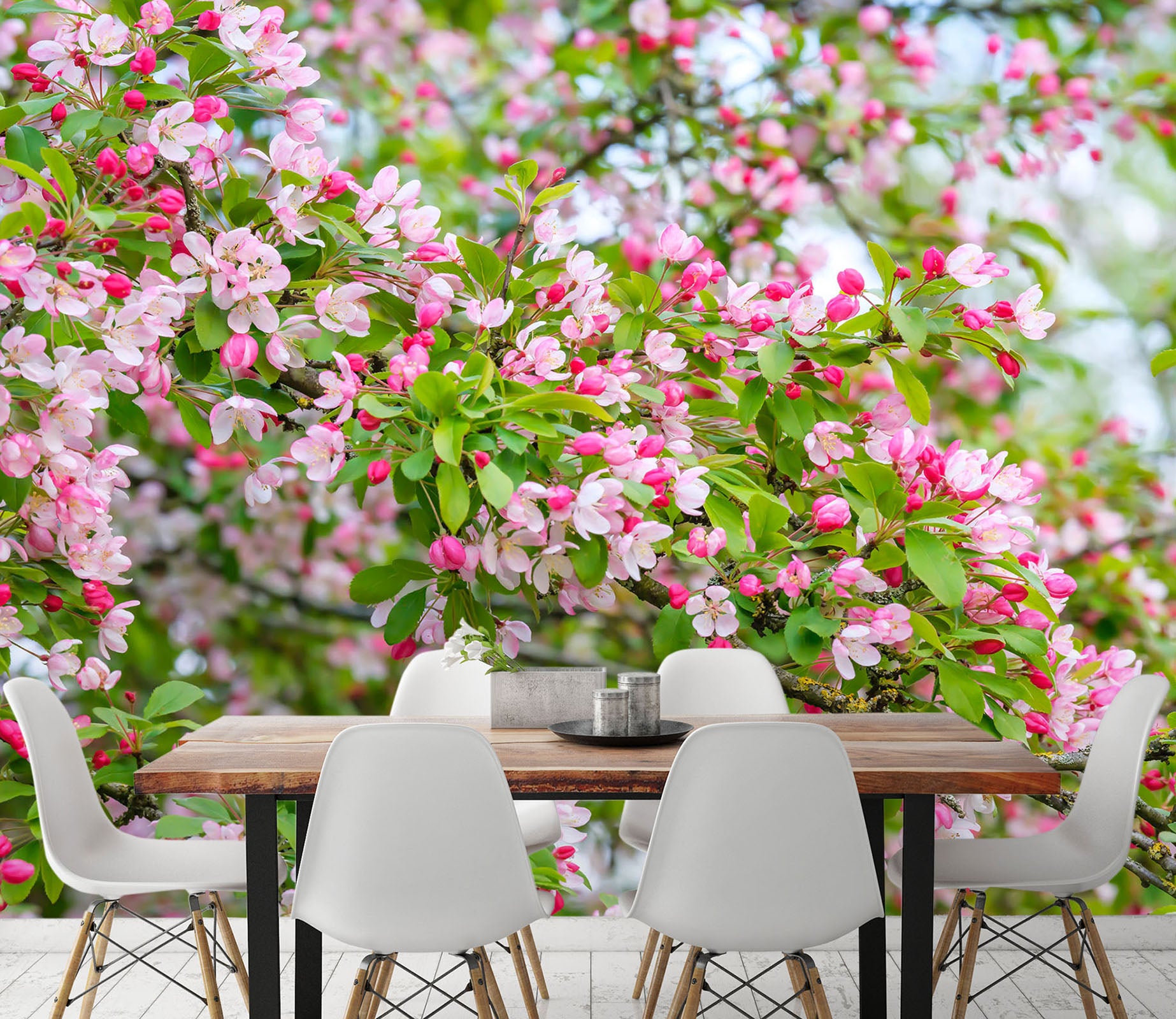 3D Spring Flowers 6169 Assaf Frank Wall Mural Wall Murals