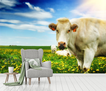 3D White Cow 292 Wall Murals