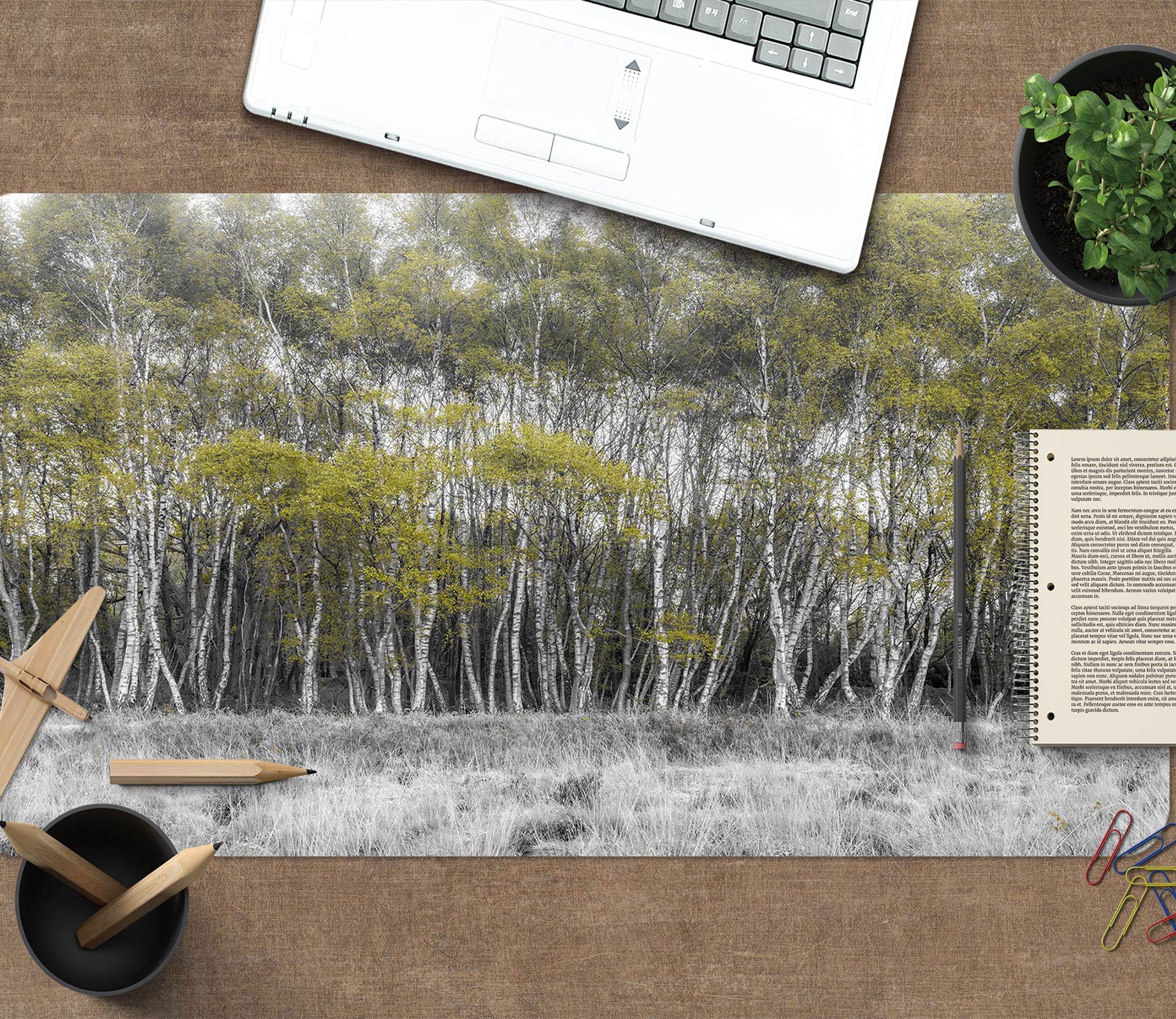 3D Forest 12432 Assaf Frank Desk Mat