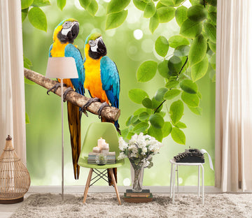 3D Parrot Leaf 445 Wall Murals