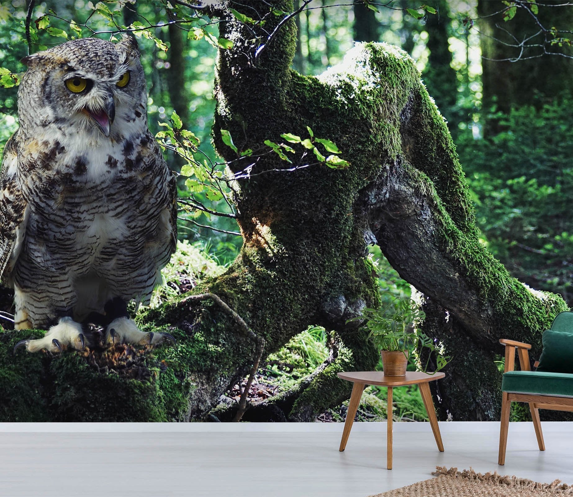 3D Forest Owl 217 Wallpaper AJ Wallpaper 