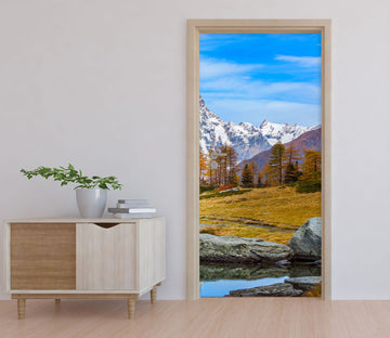 3D Lakeside Trees Meadow Mountain 12002 Marco Carmassi Door Mural