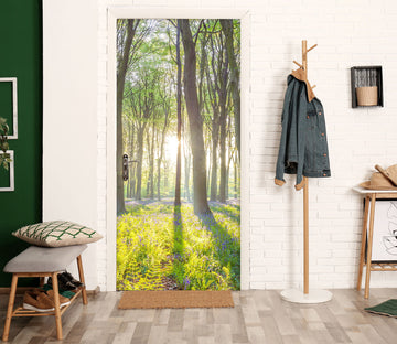 3D Sunshine Woods 10644 Assaf Frank Door Mural