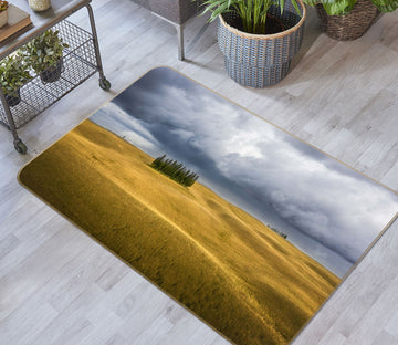 3D Golden Steppe 1125 Marco Carmassi Rug Non Slip Rug Mat