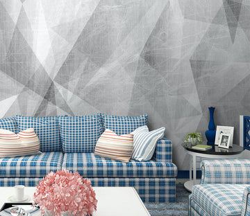 3D Grey Texture WG088 Wall Murals