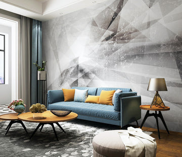 3D Grey Minimalism WG046 Wall Murals