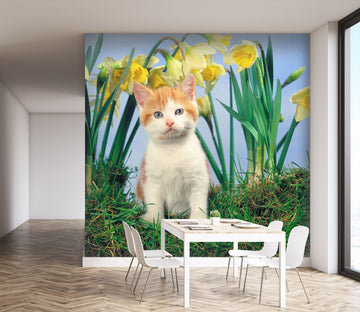 3D Orange Cat 171 Wall Murals