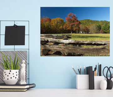 3D Natural Park 025 Kathy Barefield Wall Sticker