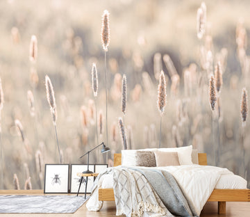 3D Gray Grass 6135 Assaf Frank Wall Mural Wall Murals