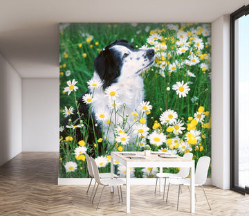 3D Daisy Puppy 169 Wall Murals