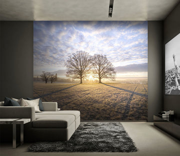 3D Sunset Grassland 068 Assaf Frank Wall Mural Wall Murals