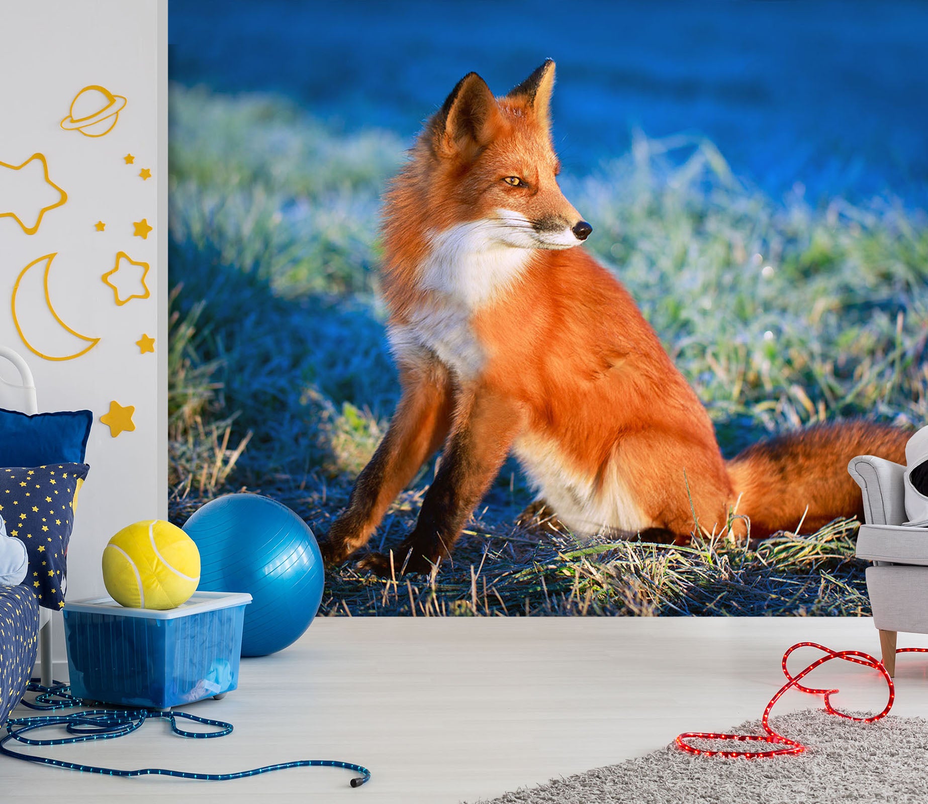 3D Orange Fox 101 Wall Murals