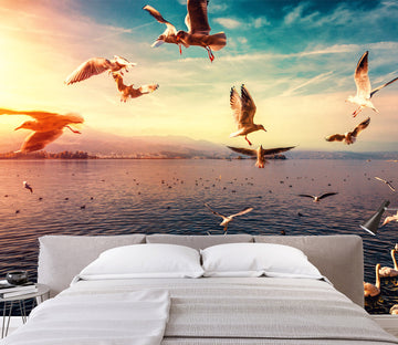 3D Sunset Seagull 401 Wall Murals