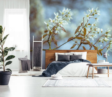 3D White Plum 006 Assaf Frank Wall Mural Wall Murals