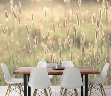 3D Lawn Grass 6136 Assaf Frank Wall Mural Wall Murals