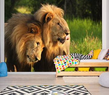 3D Lion Lawn 348 Wall Murals