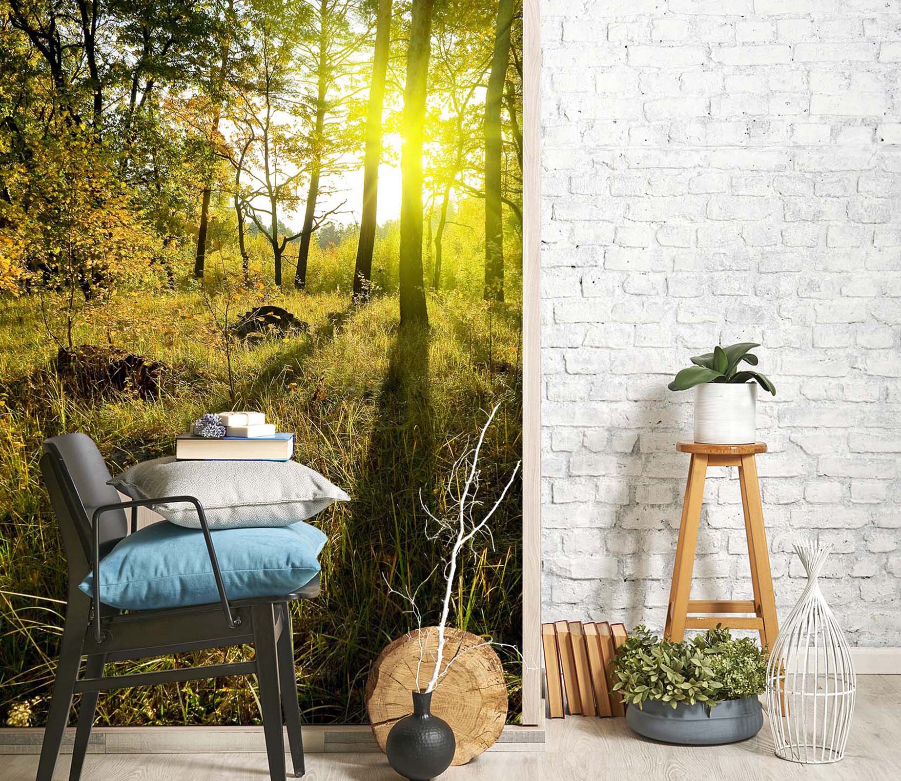 3D Forest Sunlight 080 Wall Murals