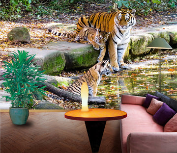 3D Tiger River 350 Wall Murals