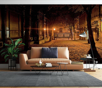 3D Night Street 9102 Alius Herb Wall Mural Wall Murals