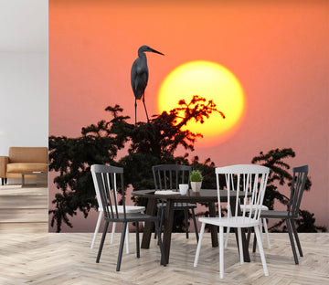 3D Sunset Crane 383 Wall Murals