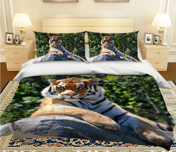 3D Tiger King 2005 Bed Pillowcases Quilt Quiet Covers AJ Creativity Home 