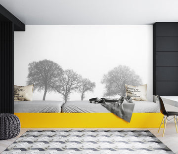 3D Gray Trees 6158 Assaf Frank Wall Mural Wall Murals