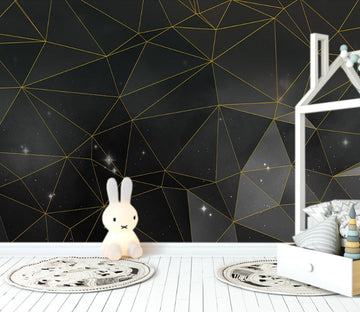 3D Black Sky Stars WC2520 Wall Murals