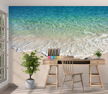 3D Seawater 57185 Wall Murals